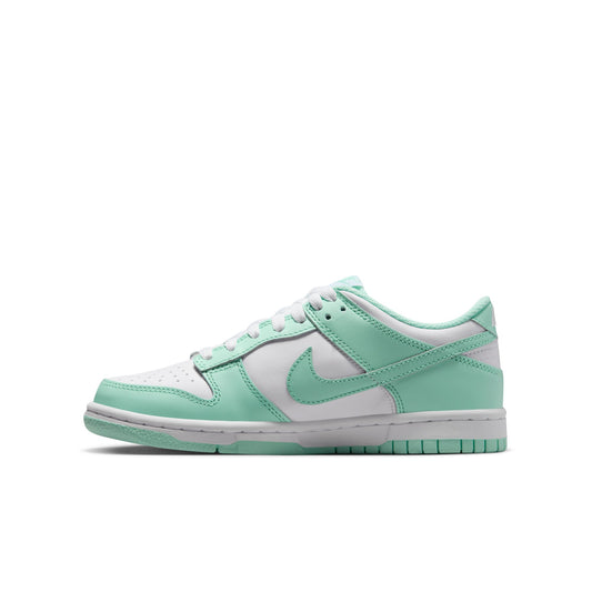 Big Kid's Nike Dunk Low - 